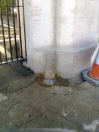 castlepark gate -  20940.jpg